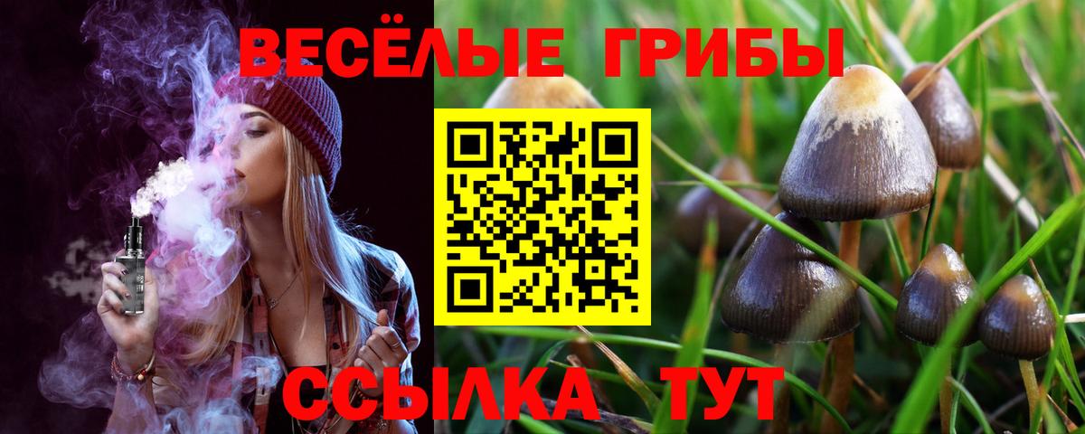 Галлюциногенные грибы MAGIC MUSHROOMS  Вход с VPN  Новоалександровск  Галлюциногенные грибы GOLDEN TEACHER 